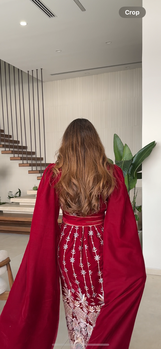 velvet long sleeve dress